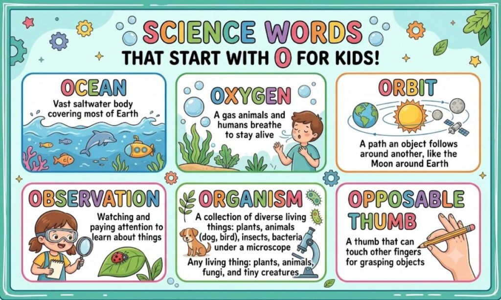 Science Words That Start With O for Kids
